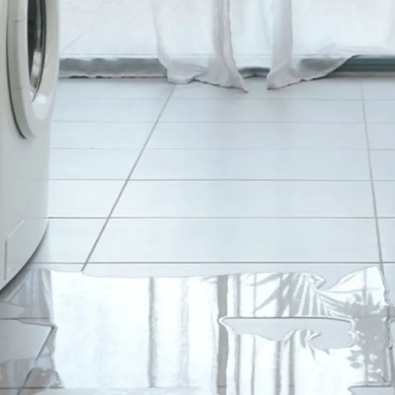 Appliance Leak Cleanup in Wrightsville Beach, NC